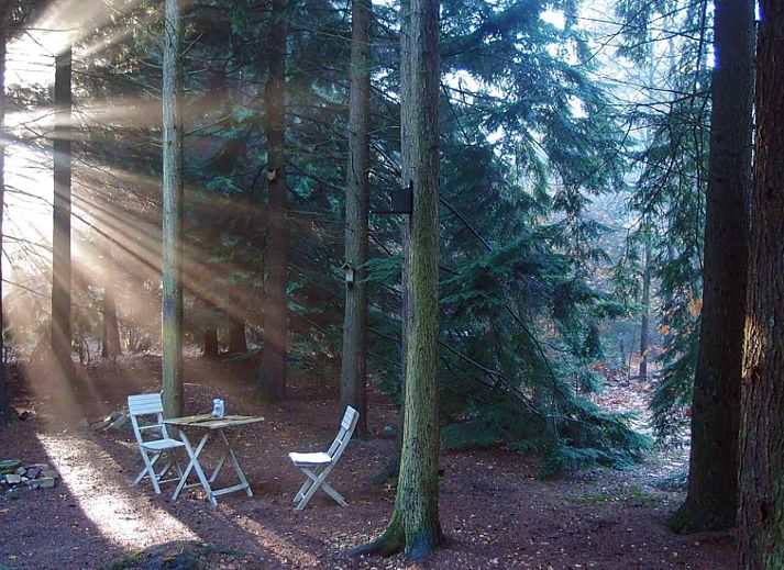 Gemuetliches Esszimmer im Ferienhaus DG1298, Emst, Veluwe mit viel Licht.