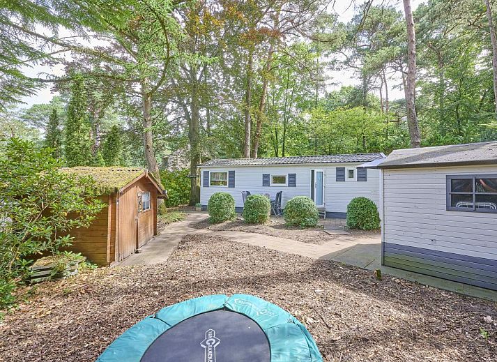 Verblijf 3208117 - Chalet Veluwe - De Havik