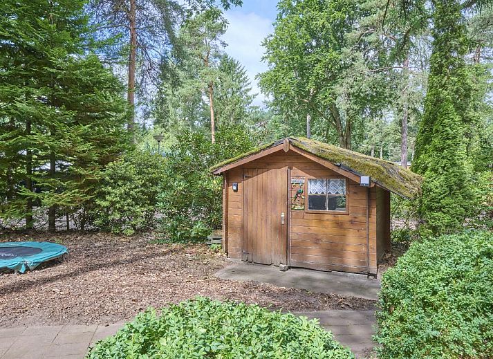 Verblijf 3208117 - Chalet Veluwe - De Havik