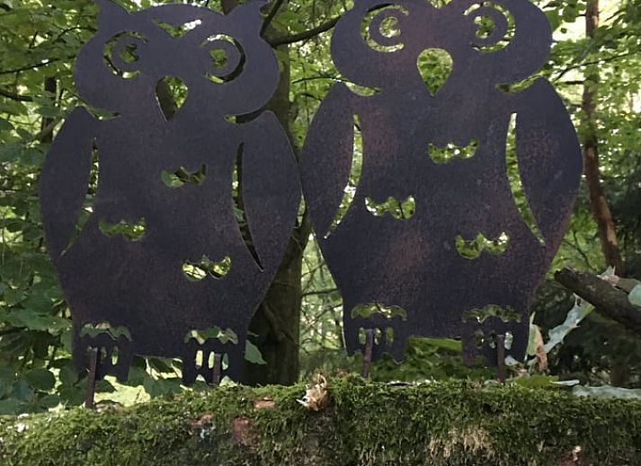 Unterkunft 3208118 - Ferienhaus Veluwe - Huisje in Emst