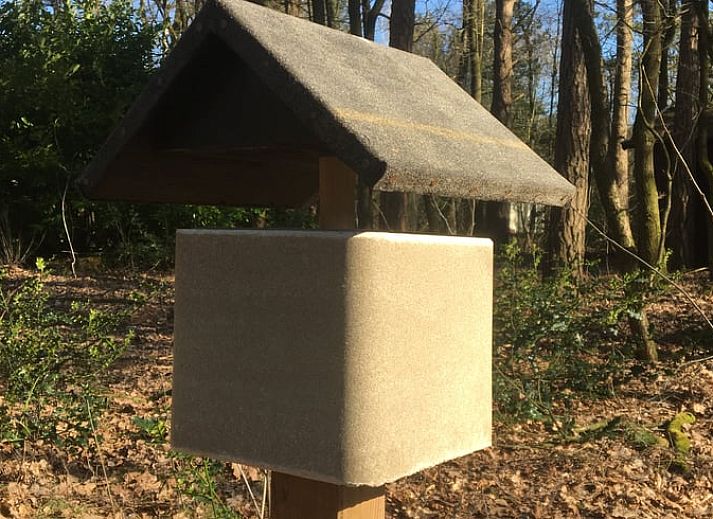 Unterkunft 3208118 - Ferienhaus Veluwe - Huisje in Emst