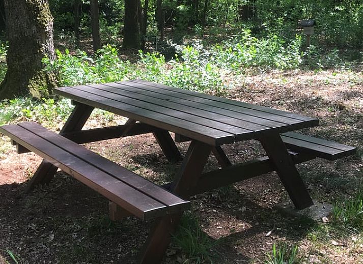 Unterkunft 3208118 - Ferienhaus Veluwe - Huisje in Emst