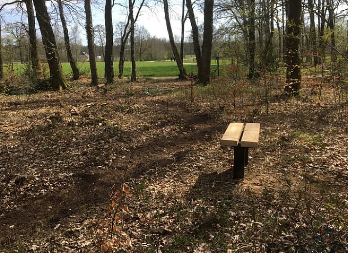 Unterkunft 3208118 - Ferienhaus Veluwe - Huisje in Emst