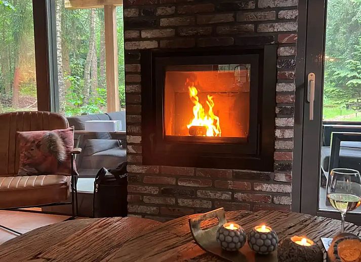 Verblijf 3208120 - Vakantiewoning Veluwe - Boshuis de Merel