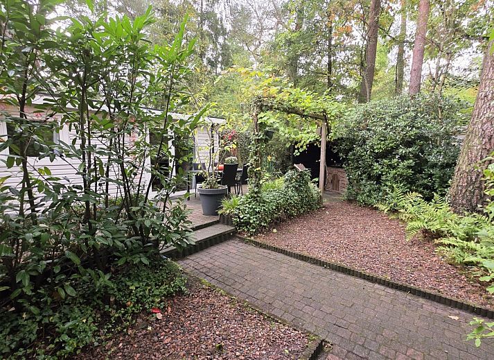 Verblijf 3208124 - Vakantiewoning Veluwe - DG2208