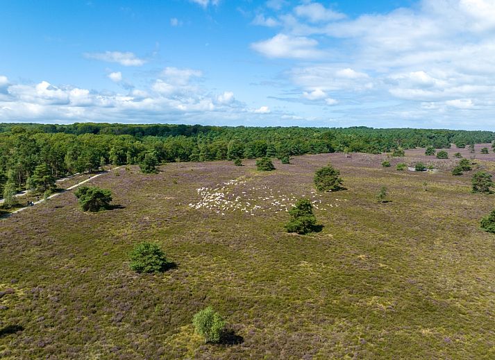 Verblijf 3208124 - Vakantiewoning Veluwe - DG2208