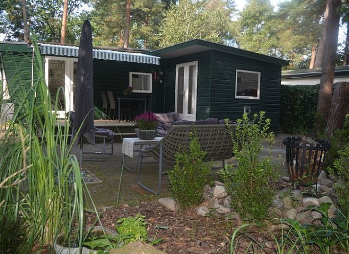 Unterkunft 320820 • Ferienhaus Veluwe • Vakantiehuis in Emst