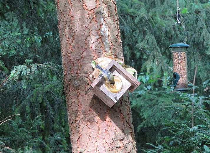 Lichte leefruimte in Vakantiehuis in Emst, Veluwe met comfortabele zitgelegenheid, Gelderland.