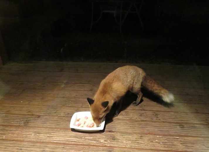 Stijlvolle eetkamer in Vakantiehuis in Emst, ideaal voor gezellige maaltijden, Veluwe, Gelderland.