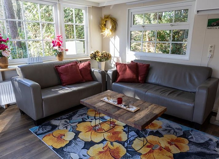 Cozy living room in Holiday Home in Emst, Veluwe, overlooking nature.