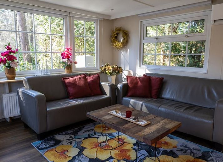 Bright living space in Holiday Home in Emst, Gelderland, with comfortable sofas.