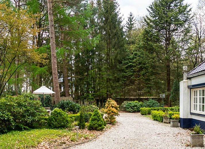 Modern kitchen in Holiday home in Emst, located in Veluwe, Gelderland, with wooden worktop and stylish extractor.