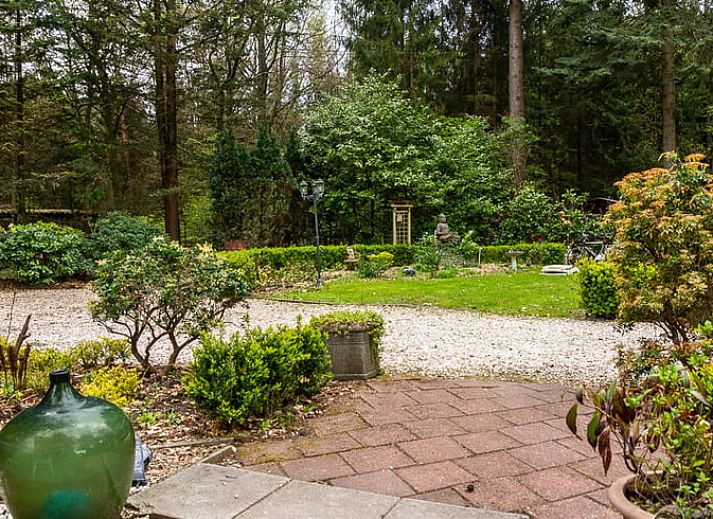 Modern kitchen in Holiday home in Emst, located in Veluwe, Gelderland, with wooden worktop and stylish extractor.