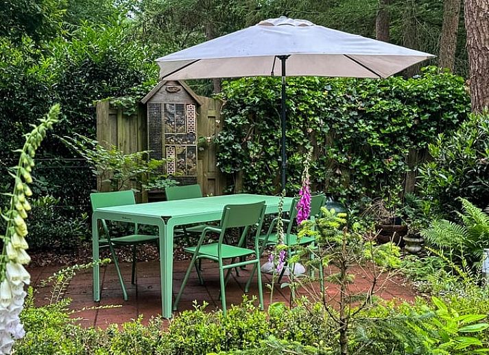 Modern kitchen in Holiday home in Emst, located in Veluwe, Gelderland, with wooden worktop and stylish extractor.