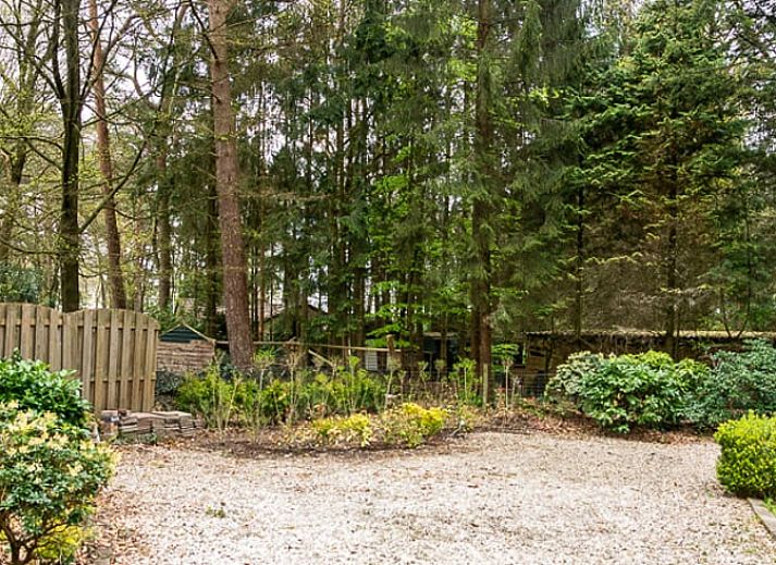Modern kitchen in Holiday home in Emst, located in Veluwe, Gelderland, with wooden worktop and stylish extractor.