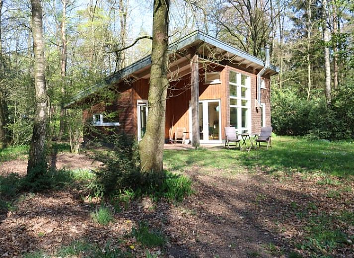 Unterkunft 320829 • Ferienhaus Veluwe • Vakantiehuis in Emst 