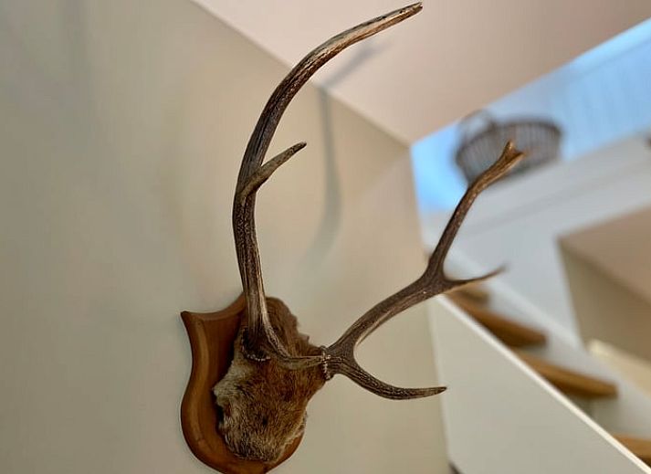 Wohnzimmer des Ferienhauses in Emst mit Walddekor, Veluwe, Gelderland.