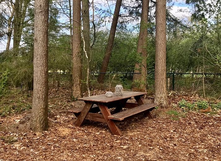Kueche und Essbereich von Huisje in Emst, Ferienhaus in Veluwe, Gelderland.