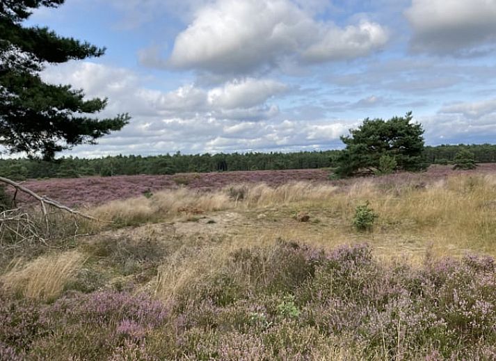 Kueche und Essbereich von Huisje in Emst, Ferienhaus in Veluwe, Gelderland.