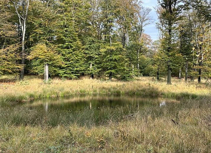 Kueche und Essbereich von Huisje in Emst, Ferienhaus in Veluwe, Gelderland.