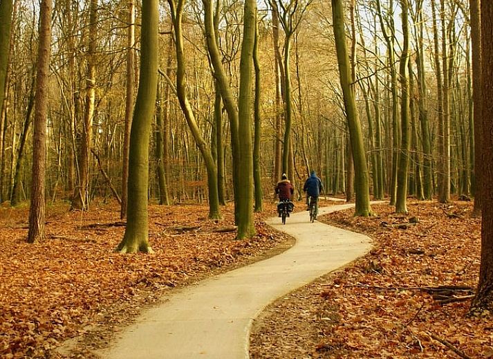 Gemuetliches Wohnzimmer mit Kamin im Ferienhaus in Emst, Veluwe, Gelderland.