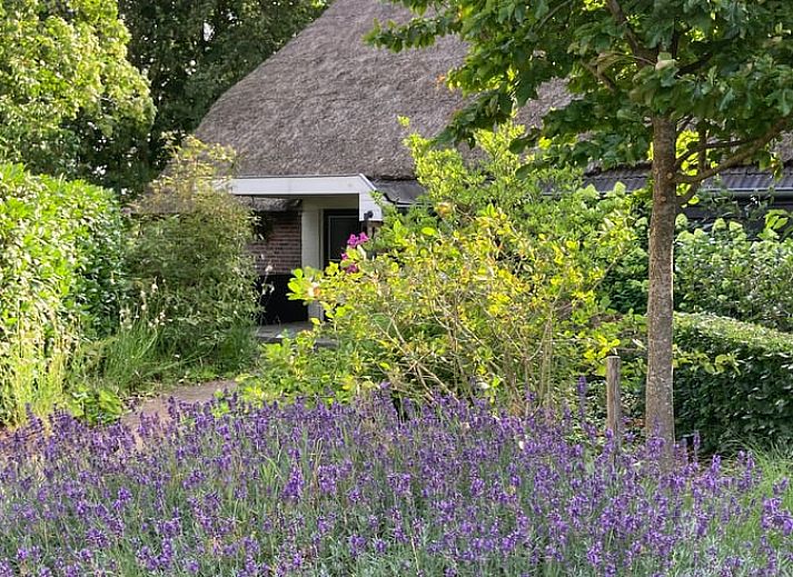 Eettafel met uitzicht op de tuin in Vakantiehuisje in Emst, Veluwe, Gelderland.