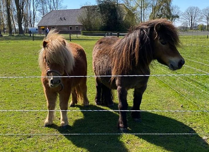 Sfeervolle slaapkamer met groot bed in Vakantiehuisje in Emst, Veluwe, Gelderland.