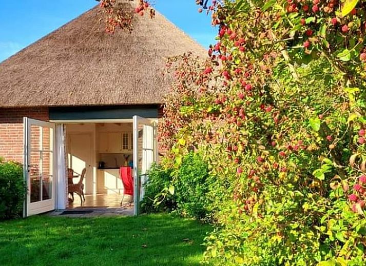 Verblijf 320856 • Vakantiewoning Veluwe • Natuurhuisje in Emst