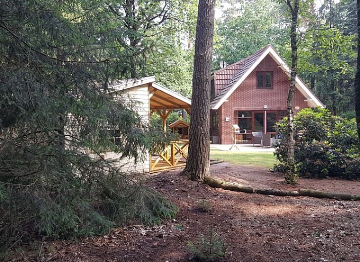 Cozy terrace at Holiday home in Emst, ideal for relaxation in Gelderland.