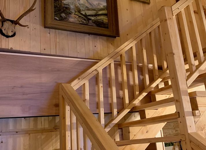 Ferienhaus in Emst, Veluwe, Gelderland, umgeben von ueppiger Natur, bietet einen rustikalen Aufenthalt in einem charmanten Holzhaeuschen.