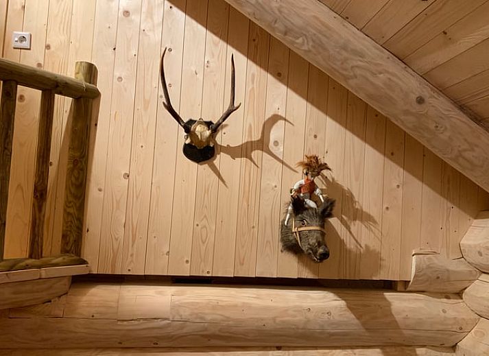 Ferienhaus in Emst, Veluwe, Gelderland, umgeben von ueppiger Natur, bietet einen rustikalen Aufenthalt in einem charmanten Holzhaeuschen.