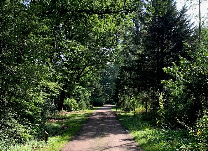Gemuetlicher Innenbereich des Ferienhauses in Emst, Veluwe, Gelderland mit Holzinterieur und stimmungsvoller Beleuchtung.