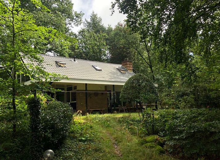 Ferienhaus in Emst in Veluwe, Gelderland, umgeben von ueppiger Natur und einer gemuetlichen Terrasse fuer entspanntes Wohnen im Freien.