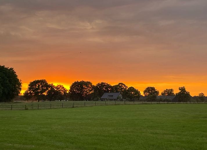 Gemuetliches Wohnzimmer des Ferienhauses in Emst, gelegen in Veluwe, Gelderland, mit bequemen Sitzgelegenheiten und Blick auf die Natur.