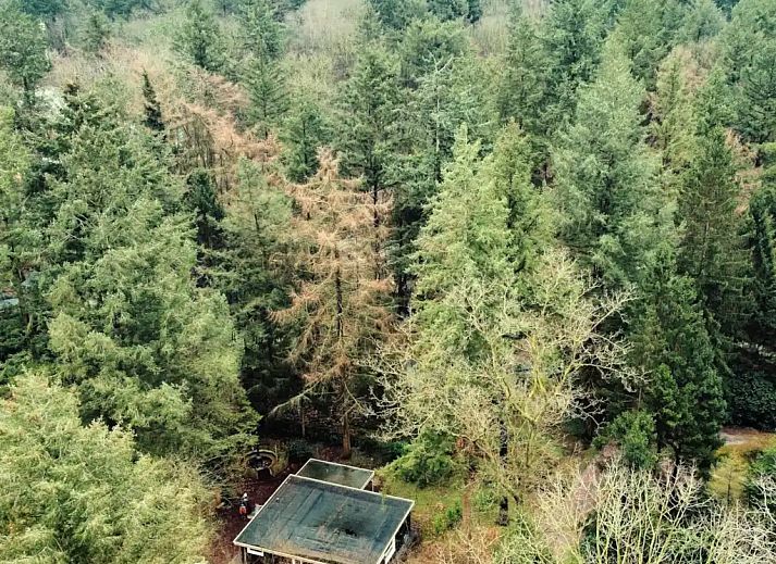 Verblijf 320883 - Vakantiewoning Veluwe - Wildlodge