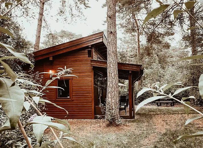Verblijf 320884 - Vakantiewoning Veluwe - Boshuisje de Tjiftjaf