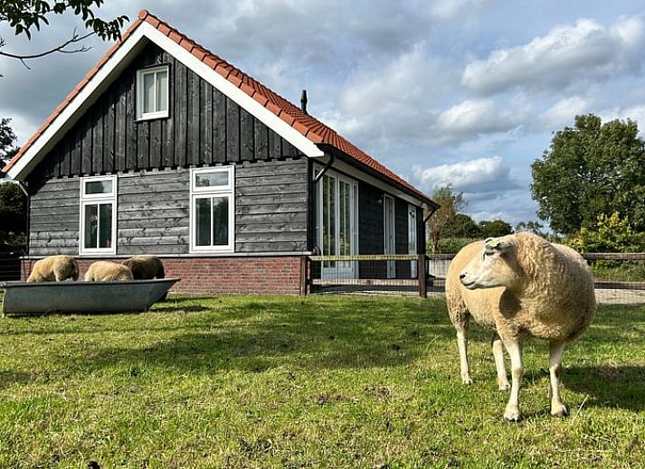 Verblijf 320887 • Vakantiewoning Veluwe • Huisje in Emst 