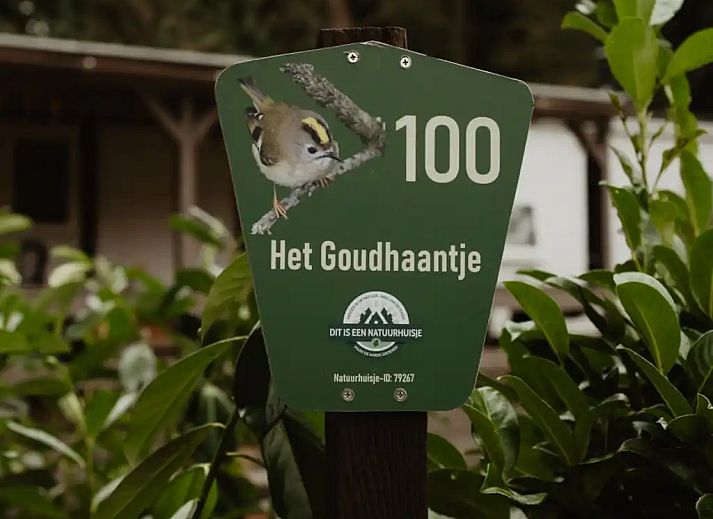 Verblijf 320890 - Chalet Veluwe - Het Goudhaantje Emst