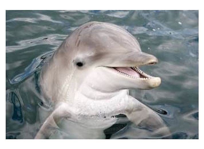 Keuken in Aledo Veluwe aan Zee Strand Horst, Ermelo, Gelderland. Compacte keuken met moderne apparatuur.