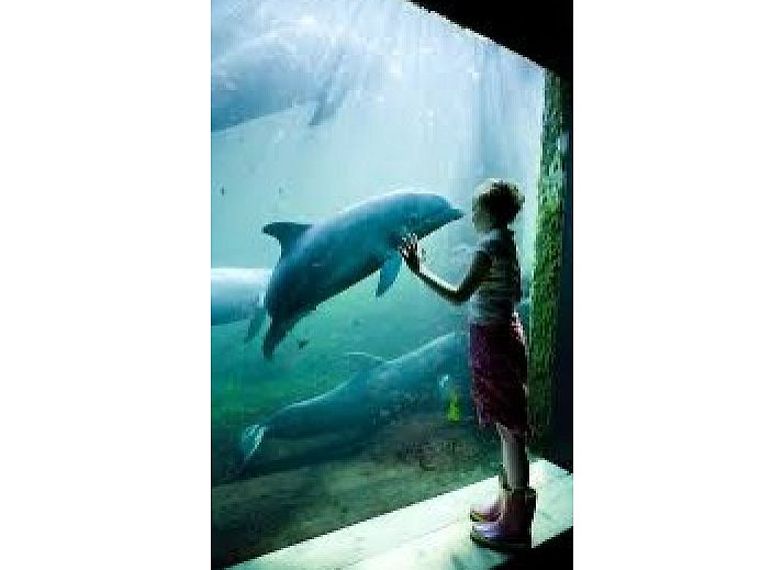 Keuken in Aledo Veluwe aan Zee Strand Horst, Ermelo, Gelderland. Compacte keuken met moderne apparatuur.