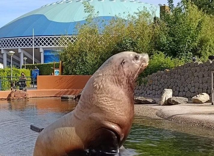 Detail van de keuken in Aledo Veluwe aan Zee Strand Horst, Ermelo, Gelderland. Strakke en functionele opstelling.