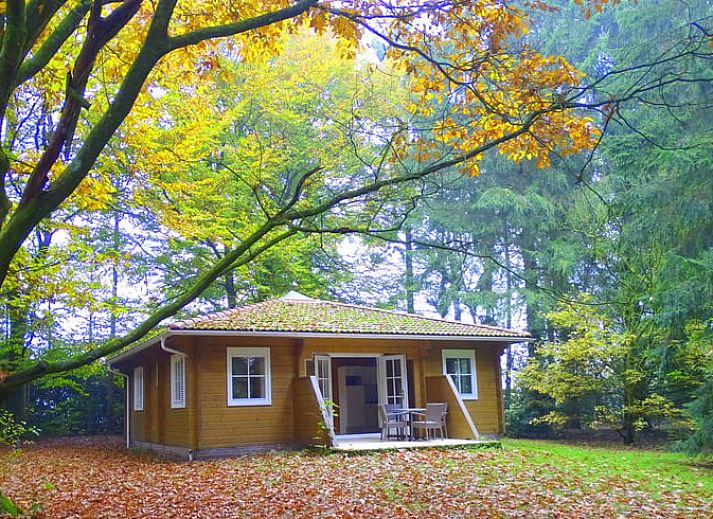 Gezellige zithoek in Huisje in Ermelo, perfect voor ontspanning na een dag in de Veluwse bossen.