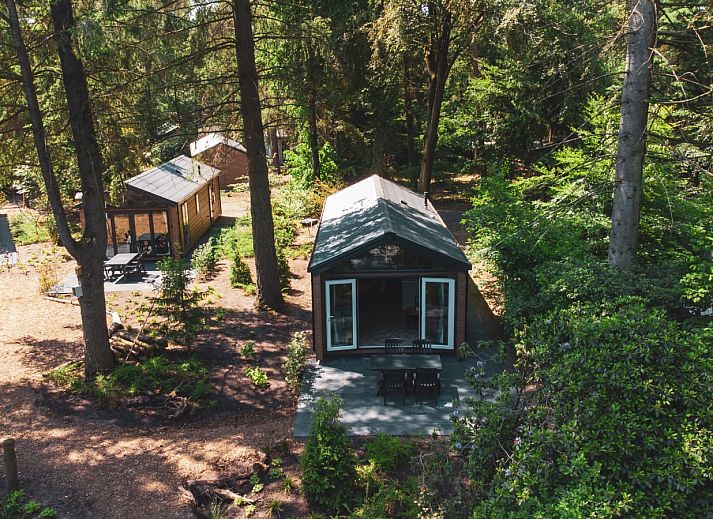 Unterkunft 3209108 - Ferienhaus Veluwe - Forest Cottage