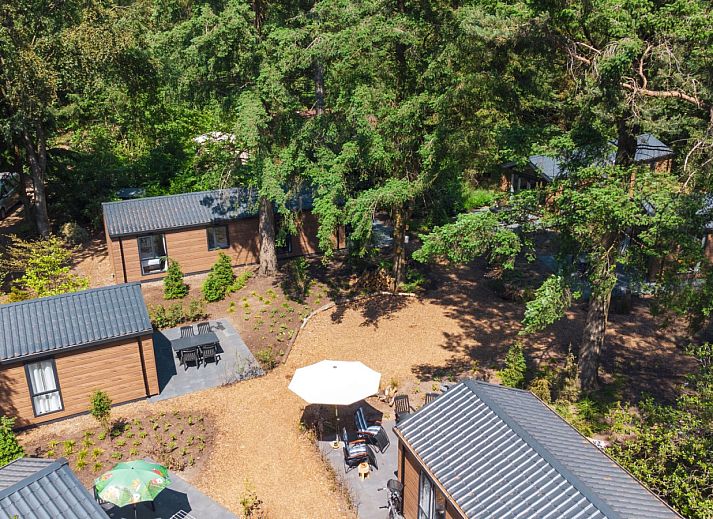 Unterkunft 3209108 - Ferienhaus Veluwe - Forest Cottage