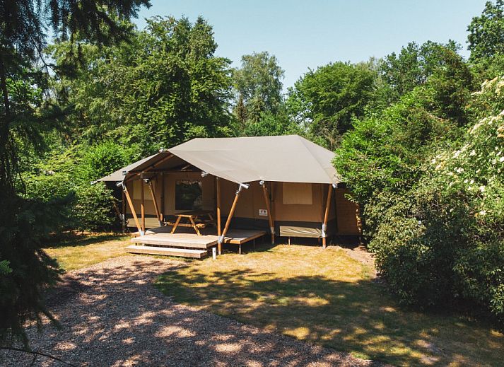 Guest house 3209111 • Tent house Veluwe • Glamping Tent 