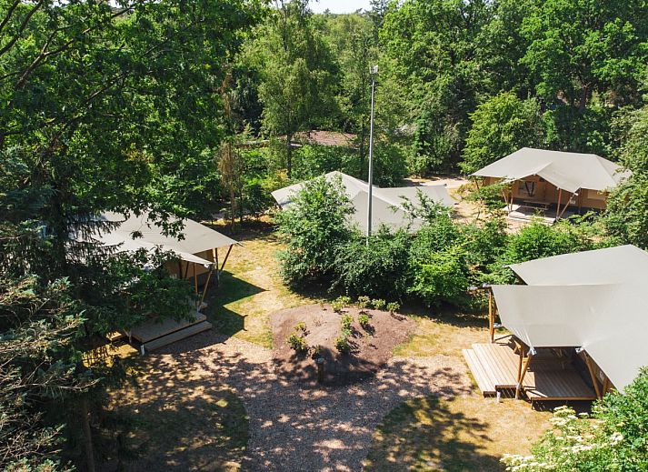 Verblijf 3209111 - Tenthuis Veluwe - Glamping Tent