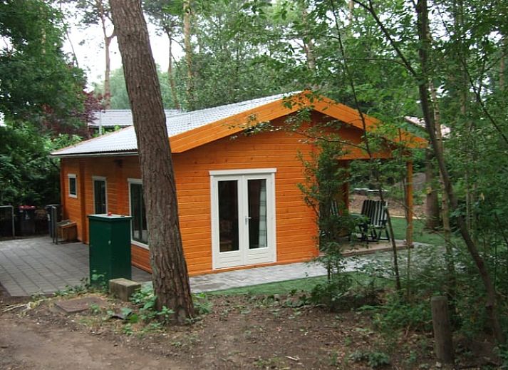 Aussenterrasse im Ferienhaus in Ermelo, Veluwe, umgeben von gruener Natur.