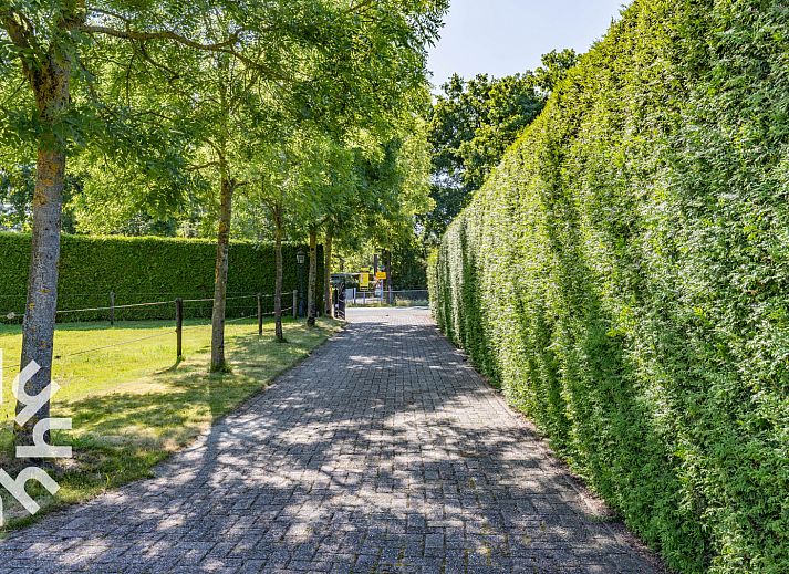 Vakantiehuis DG1560 in Ermelo, Veluwe, Gelderland met zonnig terras en comfortabele stoelen omgeven door groene natuur.
