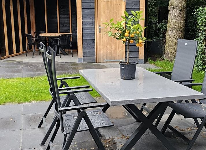 Charmantes Ferienhaus in Ermelo, Veluwe, Gelderland, umgeben von Natur mit einem einladenden Eingang und rustikaler Architektur.