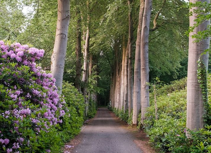 Cozy living room of a cottage in Ermelo, Veluwe, Gelderland, with a view of the green garden and modern amenities.
